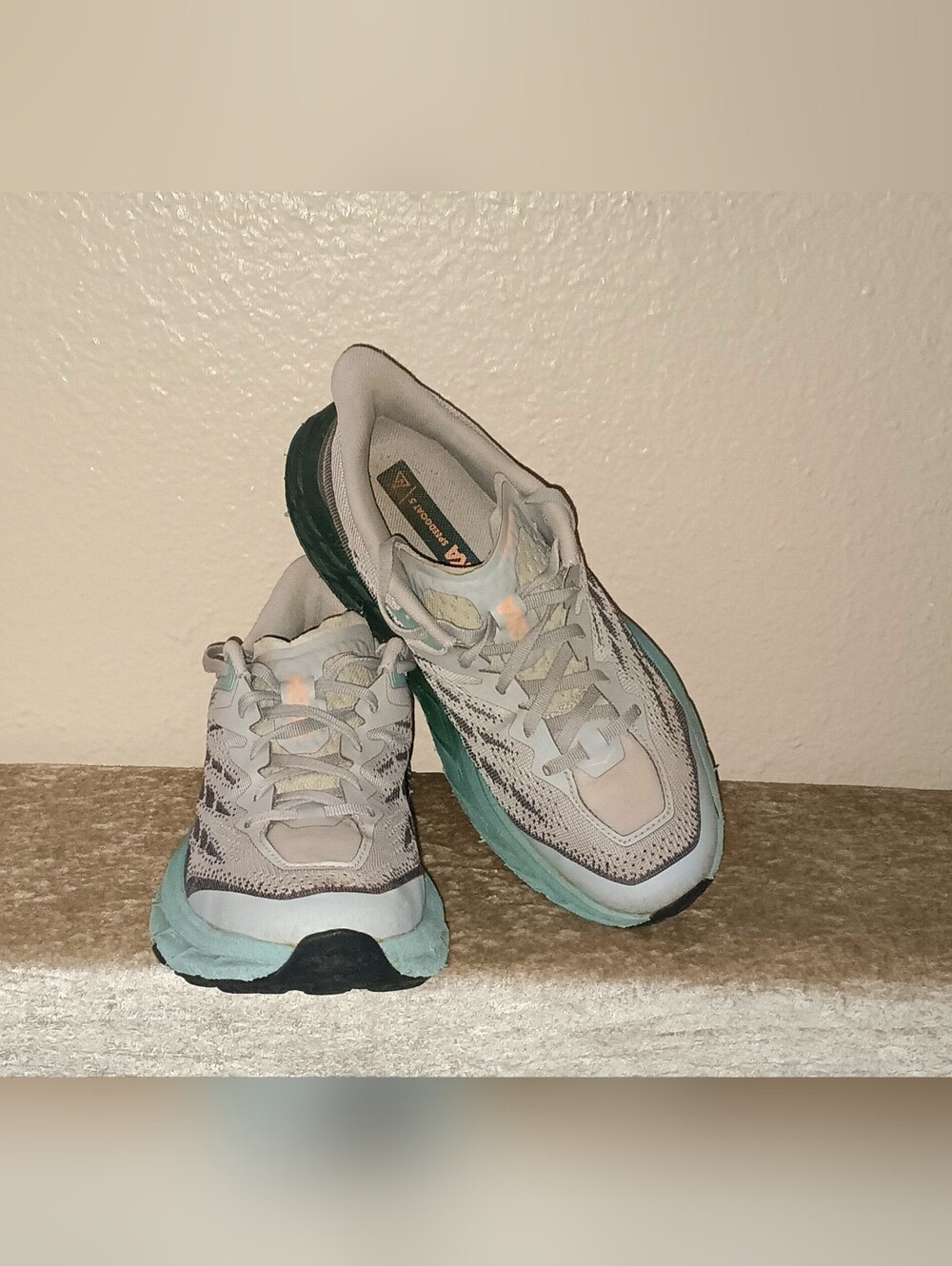 Hoka Speedgoat 5 Harbor Mist Spruce